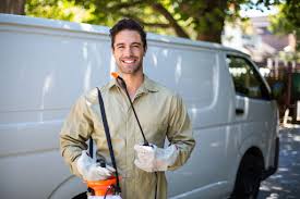 Reliable Shasta, CA Pest Control Solutions